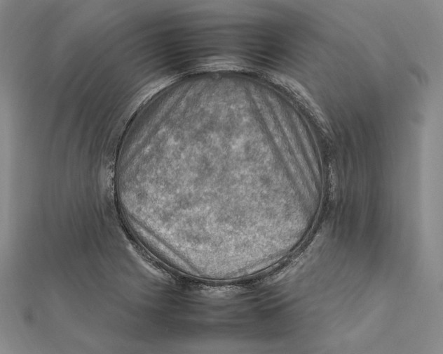 X0000112011225200908311128