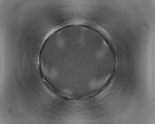 X0000112011226200908311128