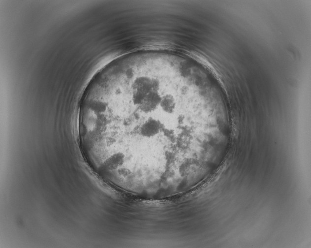 X0000112011227200908311128