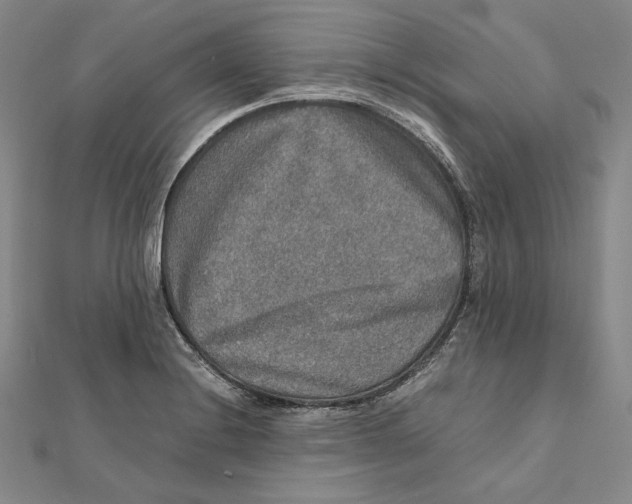 X0000112011228200908311128
