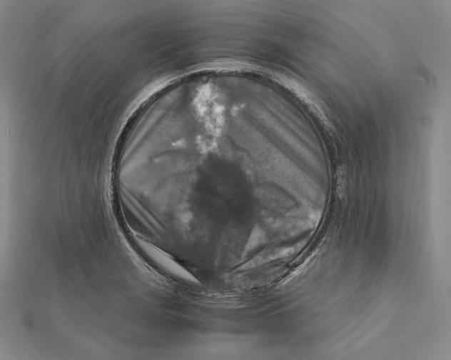X0000112011229200908311128