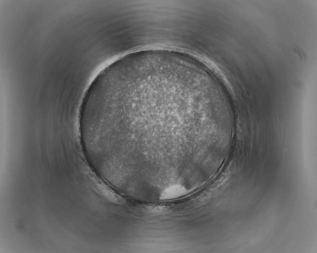 X0000112011230200908311128