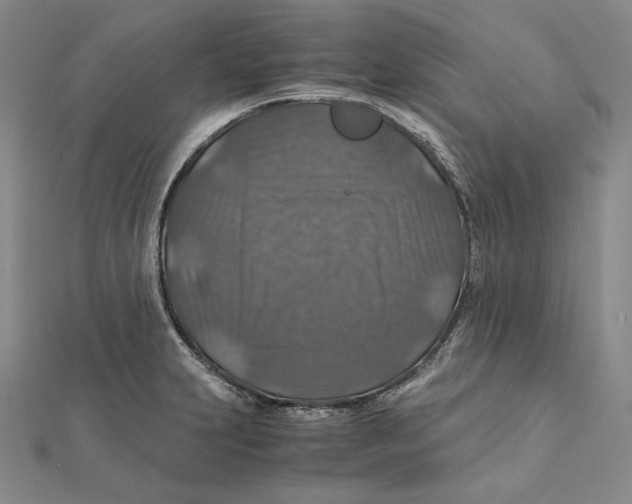 X0000112011231200908311128