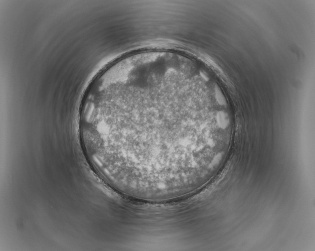X0000112011232200908311128