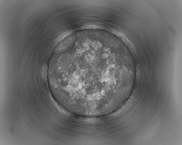 X0000112011233200908311128