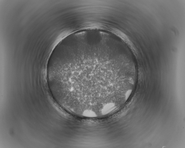 X0000112011234200908311128