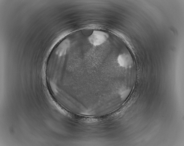 X0000112011235200908311128
