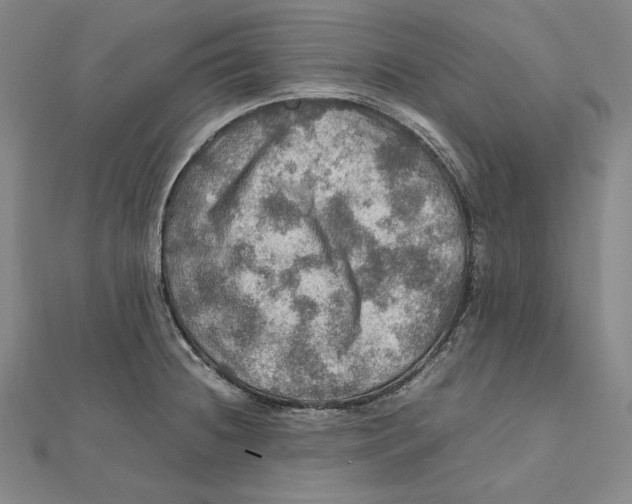 X0000112011236200908311128
