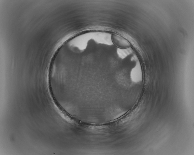 X0000112011237200908311128