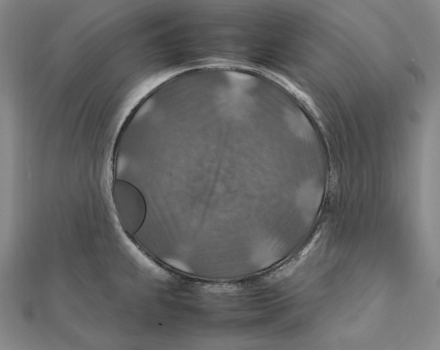 X0000112011239200908311128