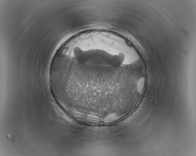 X0000112011240200908311128