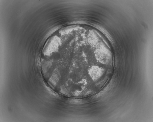 X0000112011241200908311128
