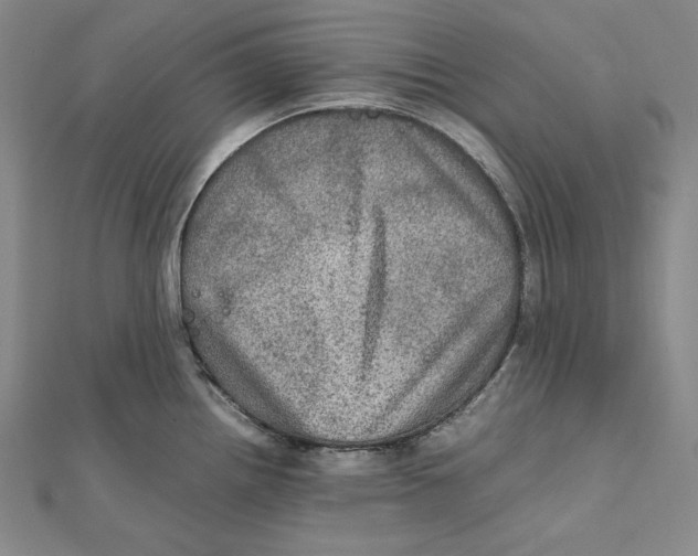 X0000112011242200908311128