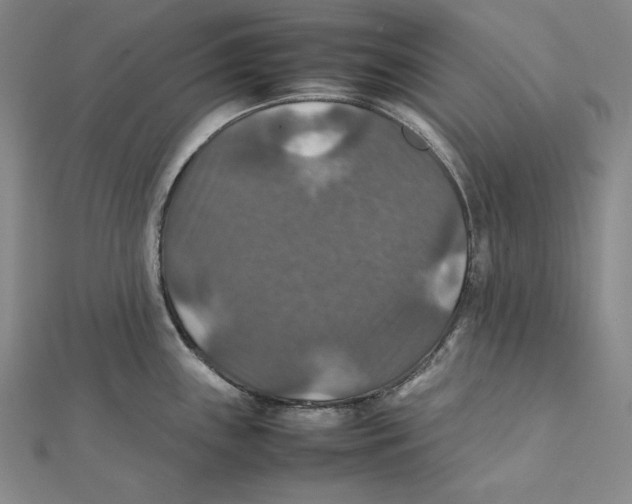 X0000112011243200908311128
