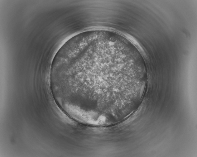X0000112011244200908311128