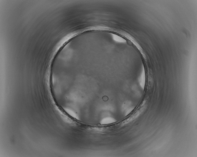 X0000112011245200908311128