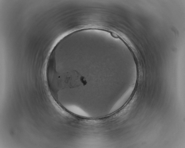 X0000112011246200908311128