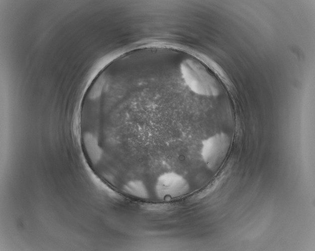 X0000112011247200908311128