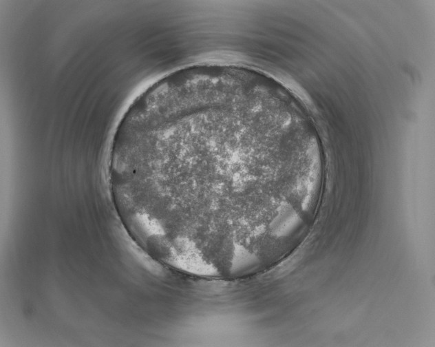 X0000112011248200908311128