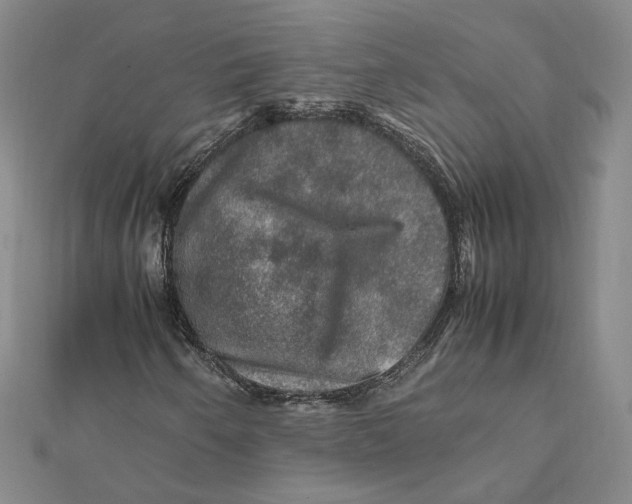 X0000112011250200908311127