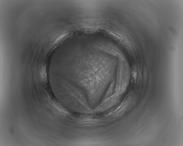 X0000112011252200908311127