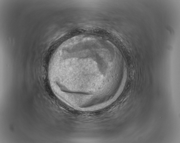 X0000112011253200908311127