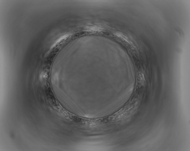 X0000112011254200908311127