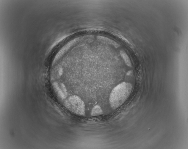 X0000112011255200908311127