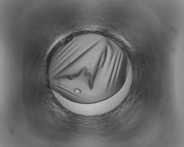 X0000112011256200908311127