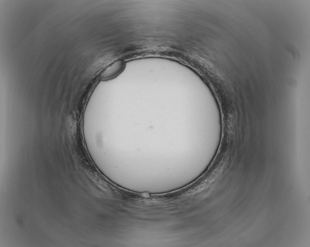 X0000112011257200908311127