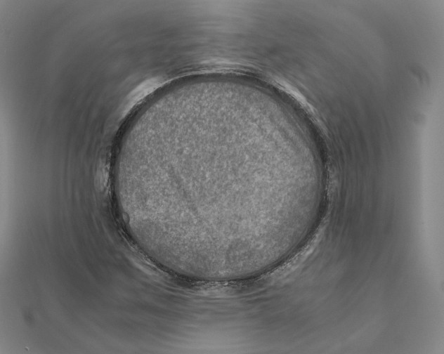 X0000112011259200908311127