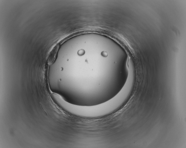 X0000112011260200908311127