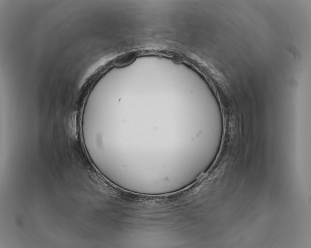 X0000112011262200908311127