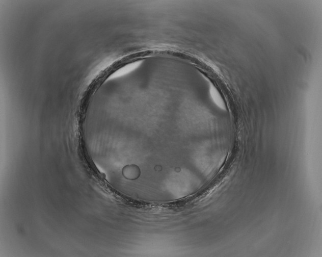 X0000112011263200908311127