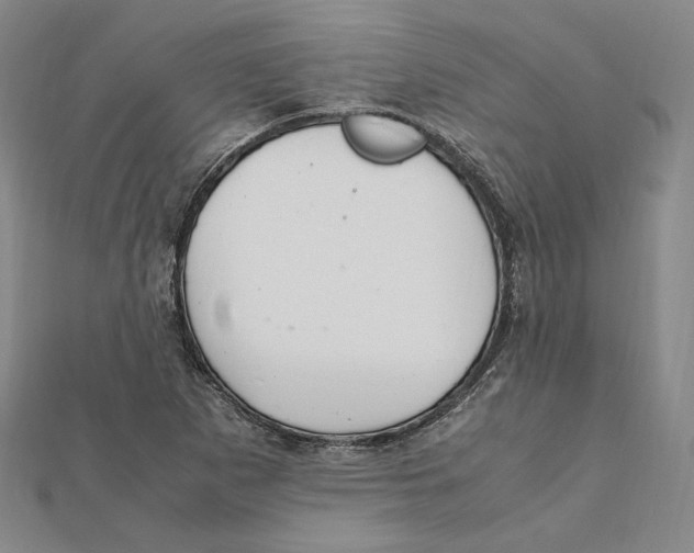 X0000112011265200908311127