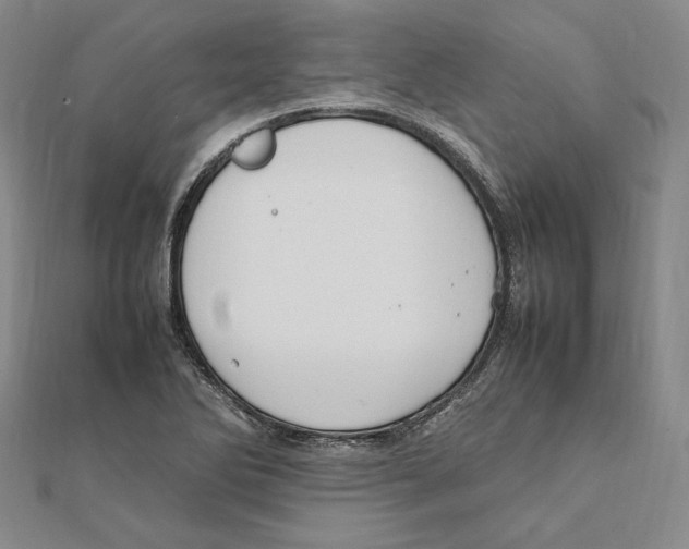 X0000112011270200908311127