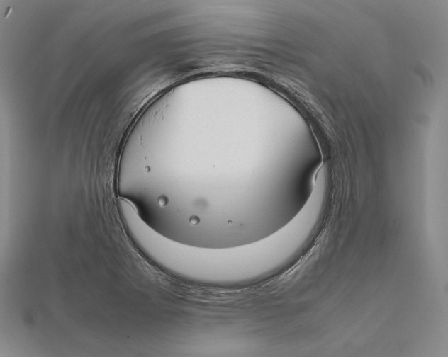 X0000112011273200908311127