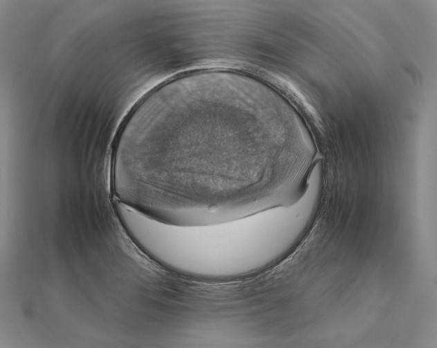 X0000112011276200908311127