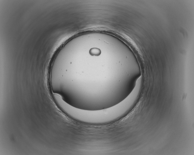 X0000112011277200908311127