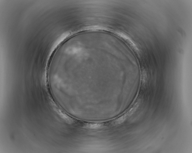 X0000112011278200908311127