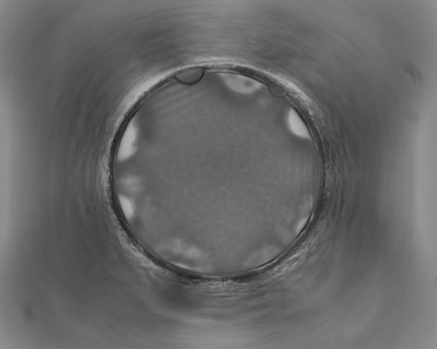 X0000112011279200908311127