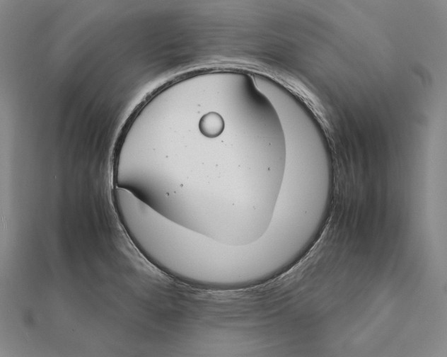 X0000112011280200908311127