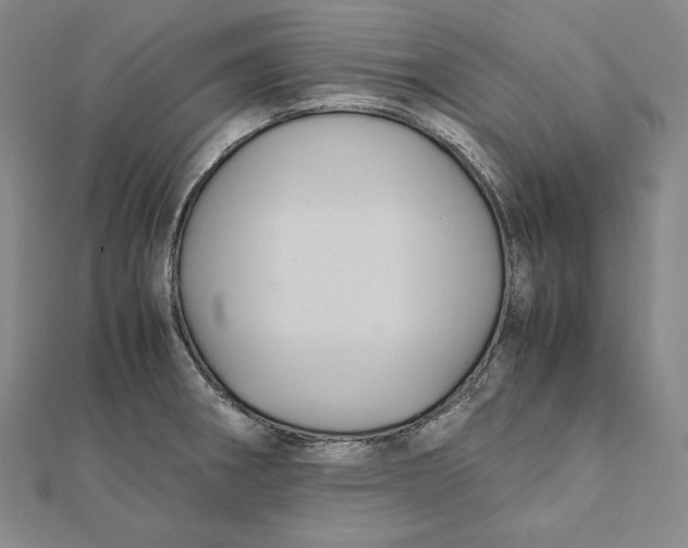 X0000112011282200908311127