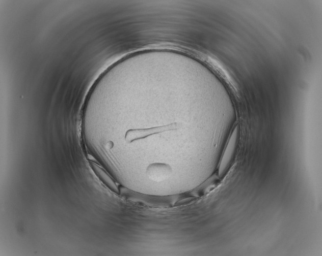X0000112011284200908311127
