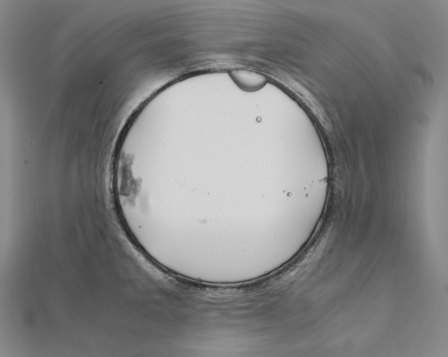 X0000112011285200908311127
