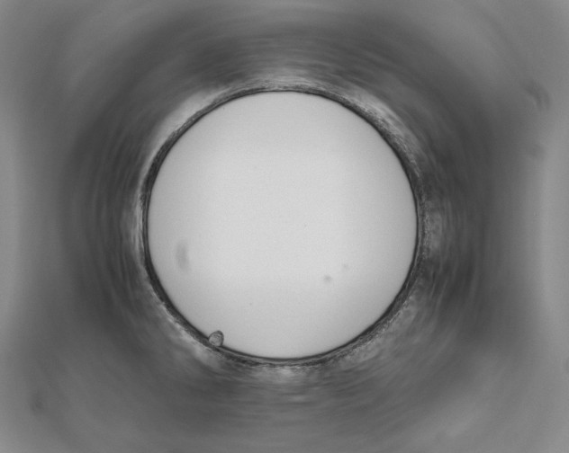 X0000112011286200908311127