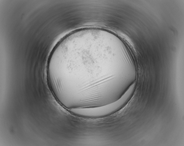 X0000112011288200908311127