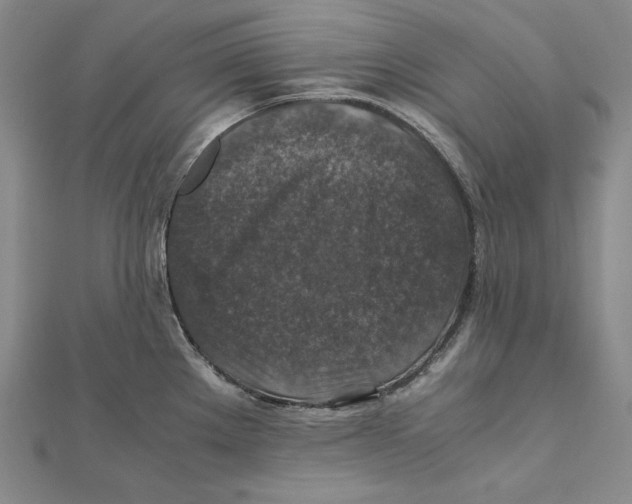 X0000112011289200908311127