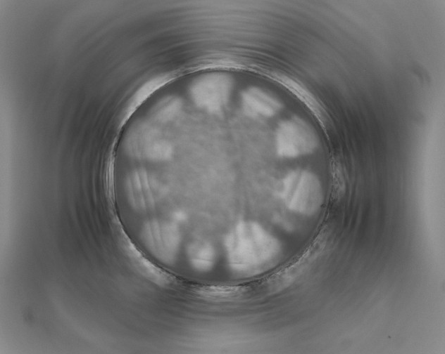 X0000112011290200908311127