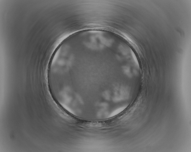 X0000112011291200908311127